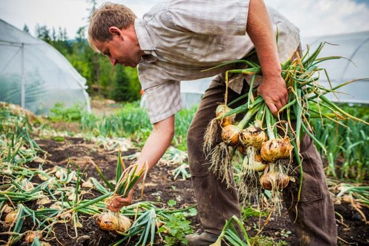 Local Farm Tours and Cocktails!