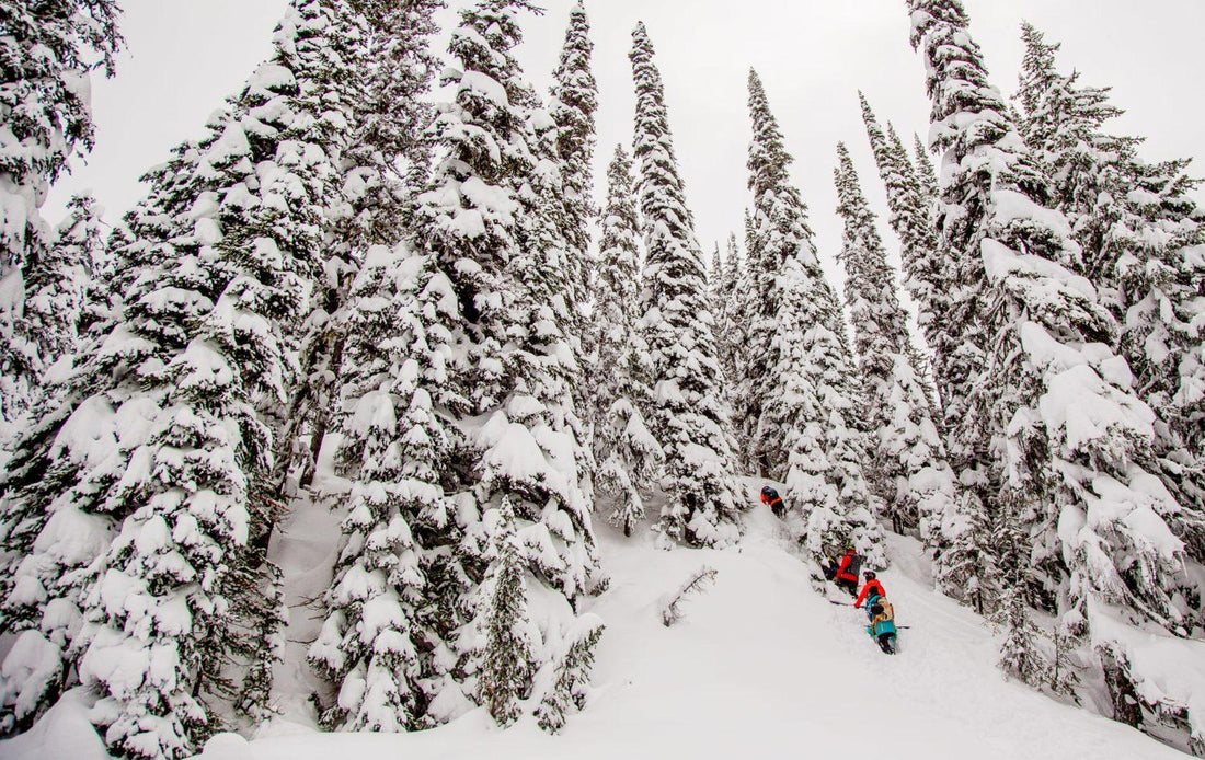 Revelstoke Après